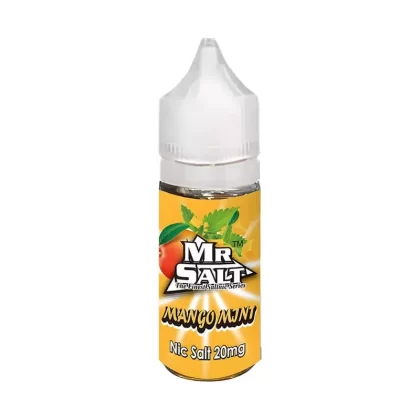Mr Salt saltnic Mango Mint Vape Juice - 10 Pack - 20mg