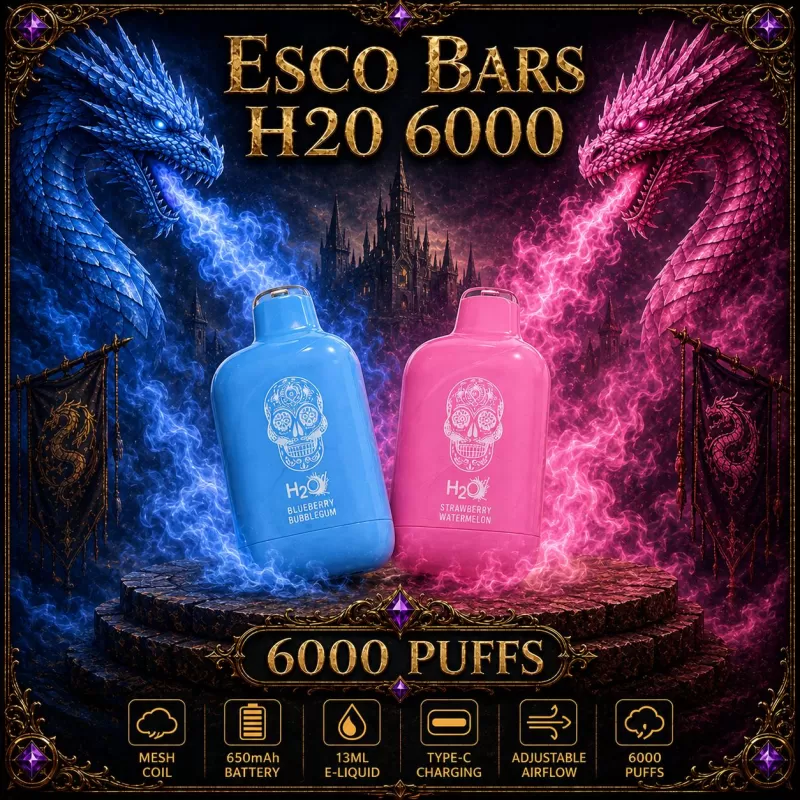 Esco Bars H20 6000 - Mint (WHT Series) / Blueberry Bubblegum