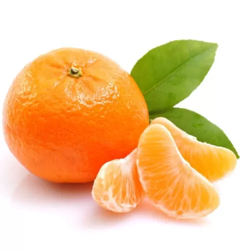 The Flavor Apprentice – Orange Mandarin 15mL - Vape Store