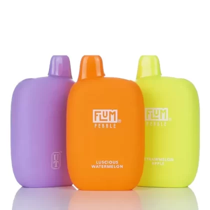 Flum Pebble 6000 Puffs Disposable Vape - 14ML - Blue Enegry