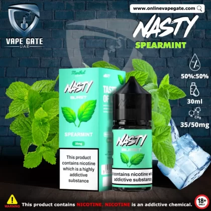 Spearmint - Nasty Burst 30ml