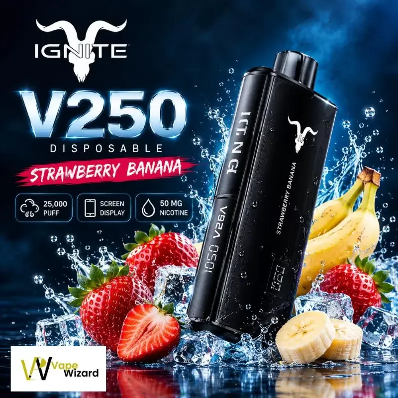 IGNITE V250 Disposable Vape 25K PUFFS in Dubai UAE - Aloe Grape Ice, Blueberry Ice; Vape Product, Box of 10 Pcs - Image 2