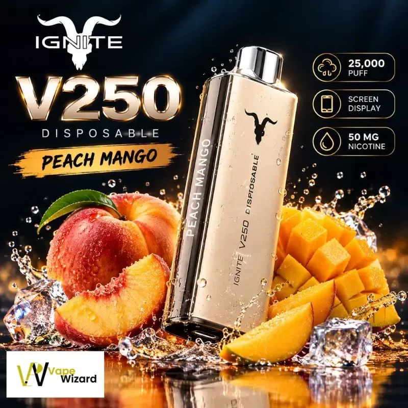 IGNITE V250 Disposable Vape 25K PUFFS in Dubai UAE - Aloe Grape Ice, Blueberry Ice; Vape Product, Box of 10 Pcs - Image 3