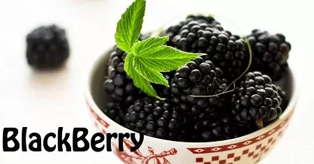 Blackberry Premium E-Liquid