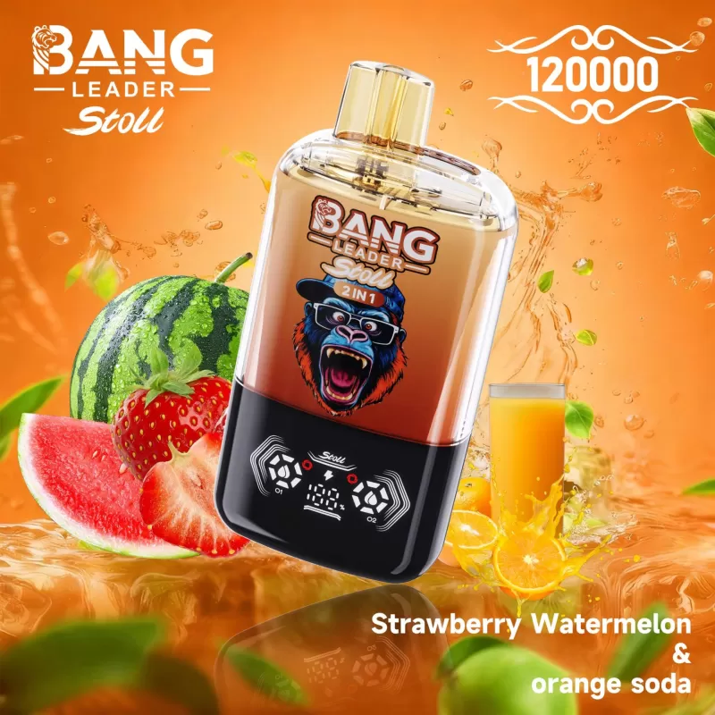 Bang Leader 120K | 2-in-1 120000 puffs, 60 ml, magnetic, dual-option, disposable vape, wholesale - Aiviouvapes
