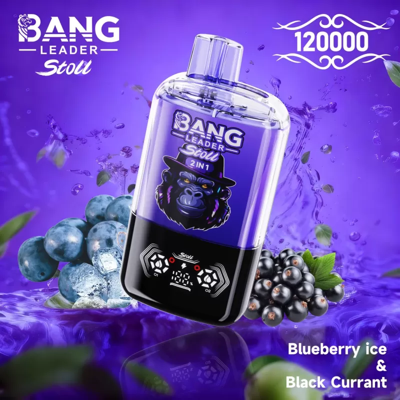 Bang Leader 120K | 2-in-1 120000 puffs, 60 ml, magnetic, dual-option, disposable vape, wholesale - Aiviouvapes - Image 2