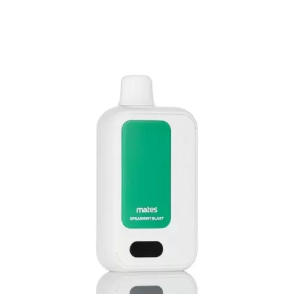 Spearmint Blast – 7 Daze Clickmate 7500 Puffs Pod Disposable Vape 5% - Vapebazaar Pk