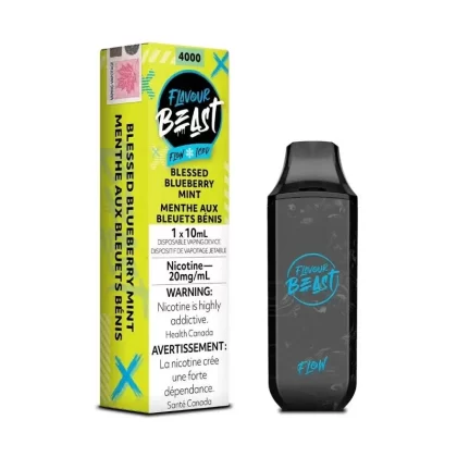Flavour Beast Blessed Blueberry Mint Iced Flow Disposable