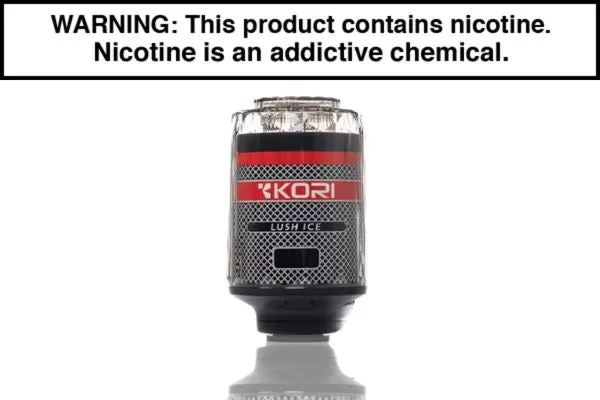 KORI 100K DISPOSABLE E-HOOKAH – 100,000 PUFFS - Peach Ice, Love 66 - Image 3