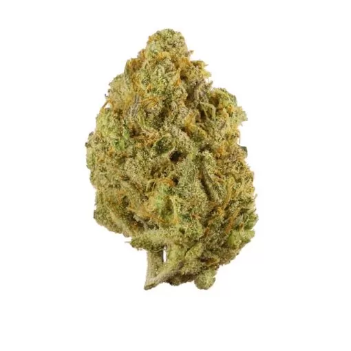SUPER LEMON HAZE - Ukvapehouse