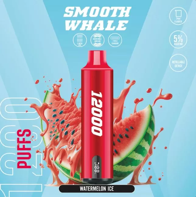 Smooth Whale Disposable Vape (12,000 Puffs) - Berry Lite / 20 mg - Image 2