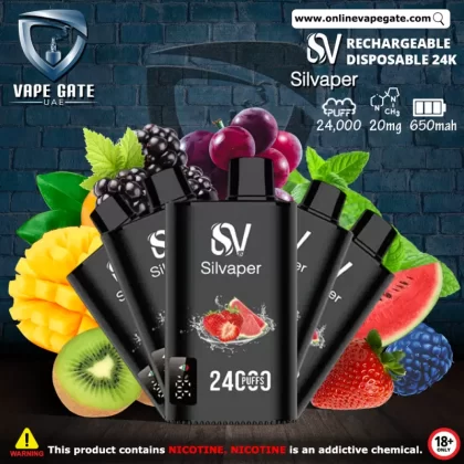 Silvaper Disposable Vape 24000 Puffs - 20 mg / Blackberry Dragonfruit