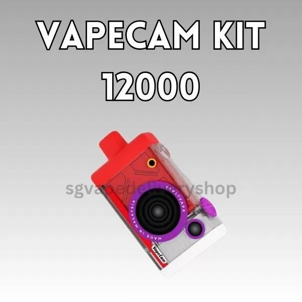 Vapecam 12000 Puffs - Grape Apple (Kit Set)