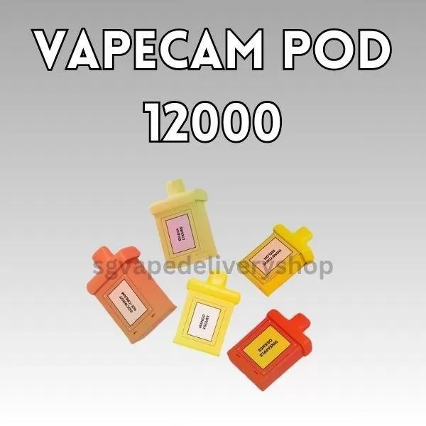Vapecam 12000 Puffs - Grape Apple (Kit Set) - Image 2