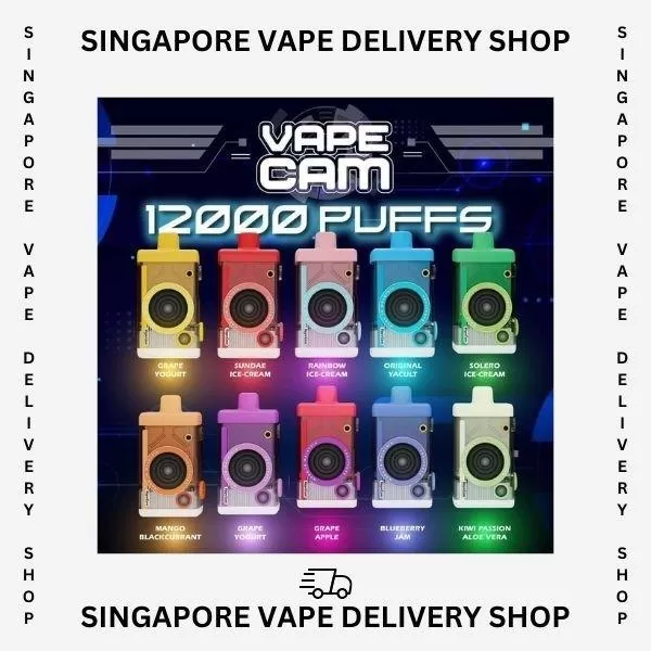 Vapecam 12000 Puffs - Grape Apple (Kit Set) - Image 3