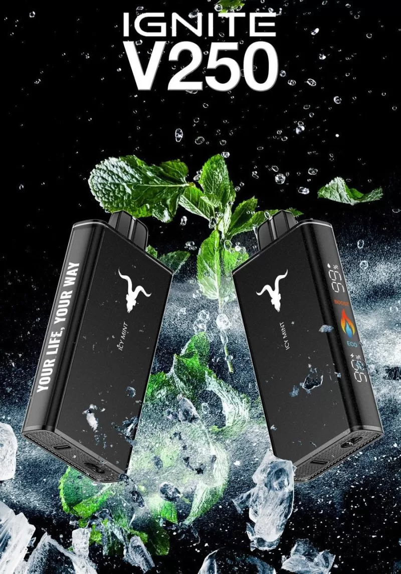 IGNITE - V250 Rechargeable Disposable Vape (25,000 Puffs) - Sweet & Sour Pomegranate / 50 mg - Image 2