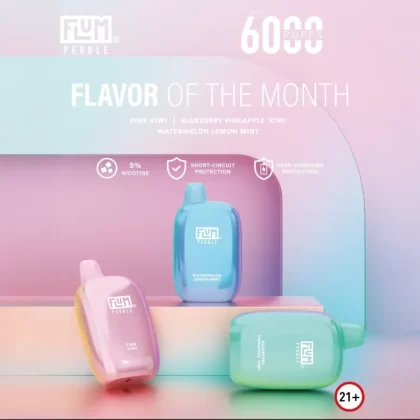 FLUM Pebble 6000 Disposable Device – 6,000 Puffs - Pink Kiwi