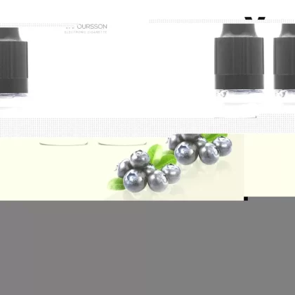 Vapoursson e-Liquid – Blueberry 0mg 10ml Bottle x 2 Pack | Cigee