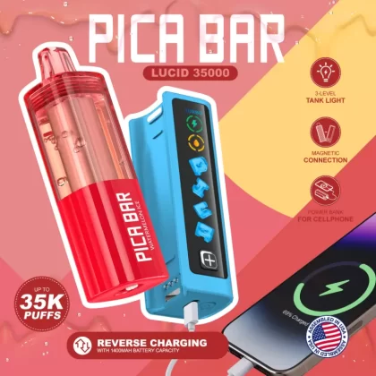 Assembled in USA | PICA BAR Lucid 35K Disposable KIT - 35,000 Puff - Miami Mint