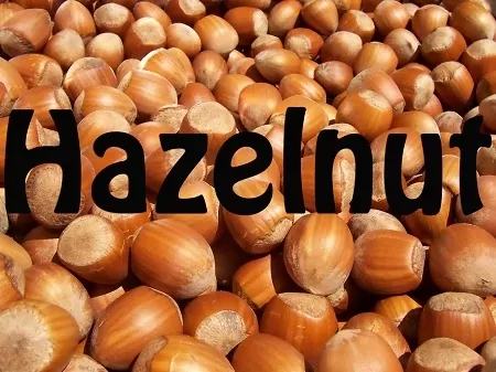 Hazelnut Premium E-Liquid