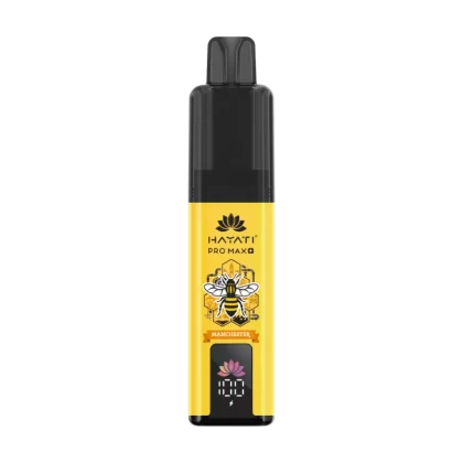 Hayati Pro Max Plus 6000 Manchester Souvenir Edition - Strawberry Raspberry Ice - Ecigwizard