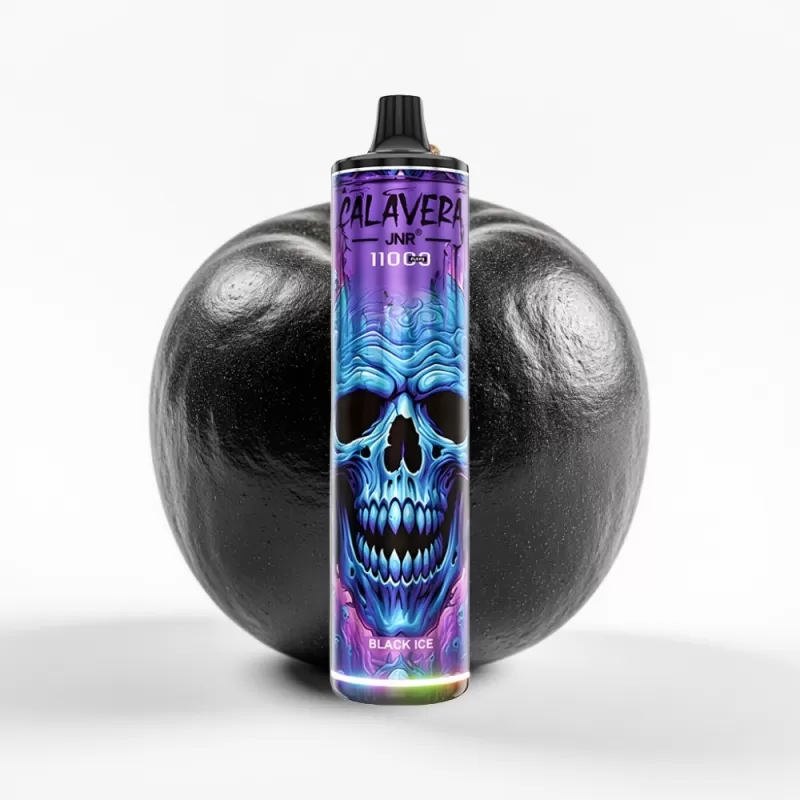 JNR Calavera 11000 Puffs Tipo-C 850mAh 21ml Negro Hielo Mexico vape - Fumotvapemexico