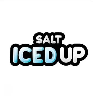 ICEDUP SALT NIC 30ML - Grape Ice / 20MG