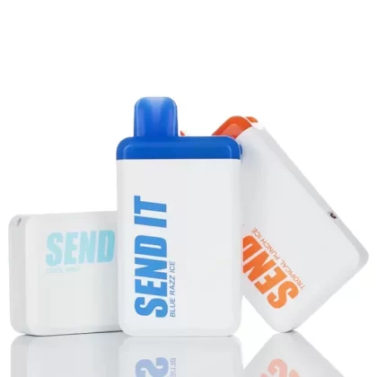 Send It 5000 Puffs Rechargeable Disposable Vape - 12ML (DISCONTINUED)