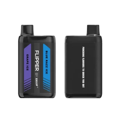 Grape Ice + Blue Razz Ice – Flipper 12000 puffs By Slugger - Vapebazaar Pk