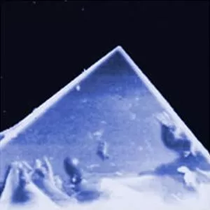 DNISP