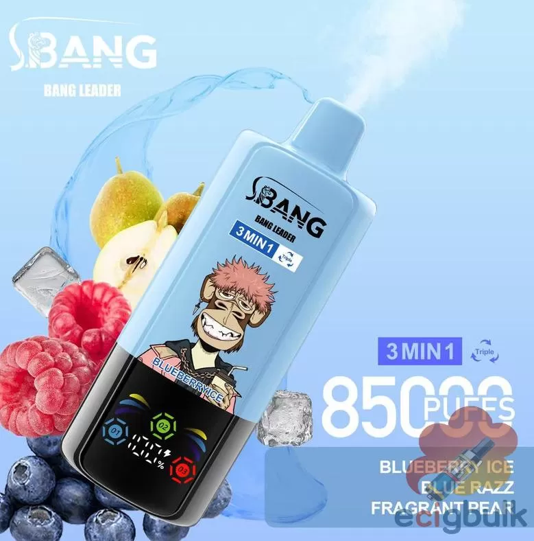 Bang Leader 85K Disposable Vape – 85,000 Puffs Rechargeable Device - Image 2