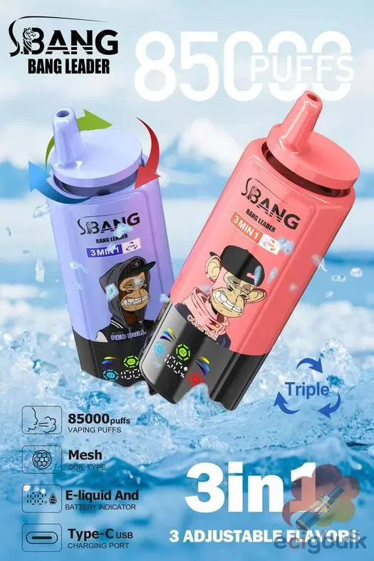 Bang Leader 85K Disposable Vape – 85,000 Puffs Rechargeable Device - Image 3