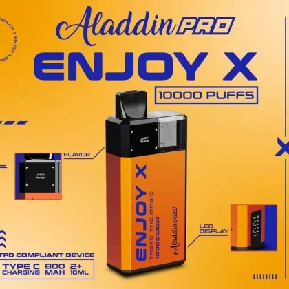 Aladdin Pro Enjoy X 10k Vape Kit