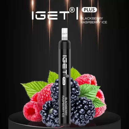 Wholesale Original IGET Plus Disposable Vape Device 1200puffs 650mah ( )