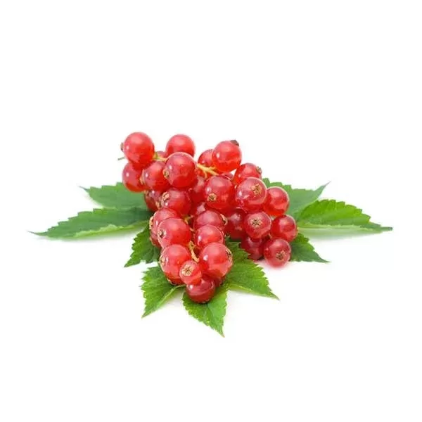 Treeberry HelloCig E-Liquid 250ml