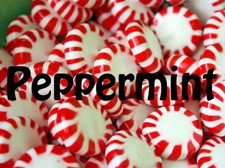 Peppermint Premium E-Liquid