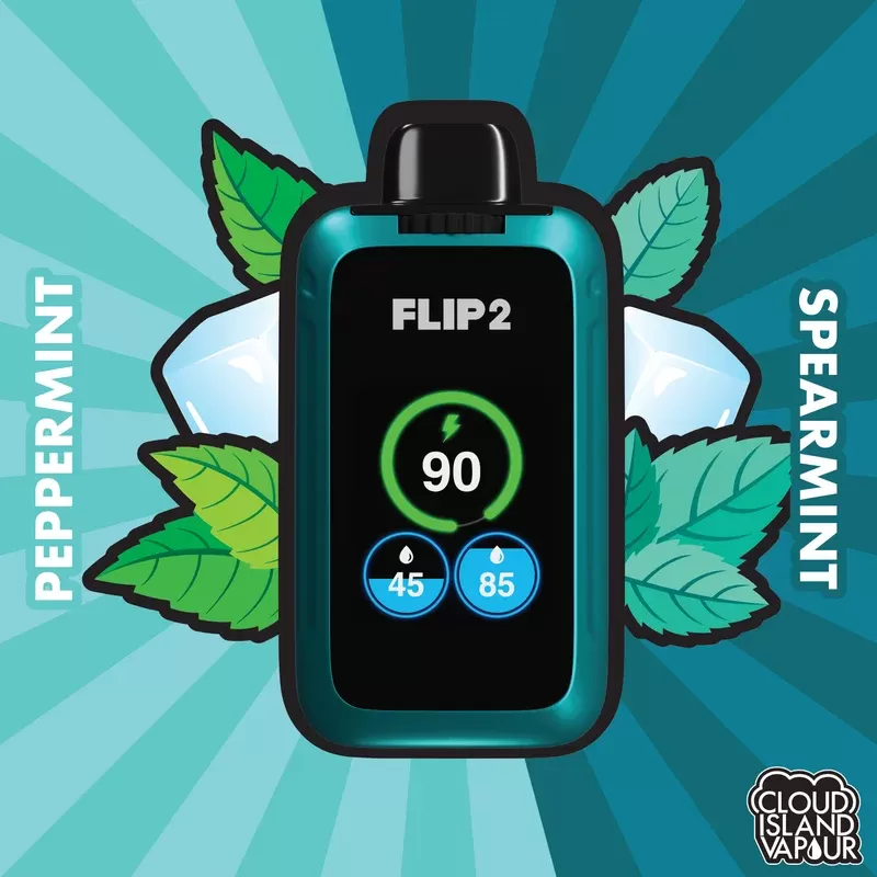 Flip 2 Disposable Vape – Peppermint And Spearmint