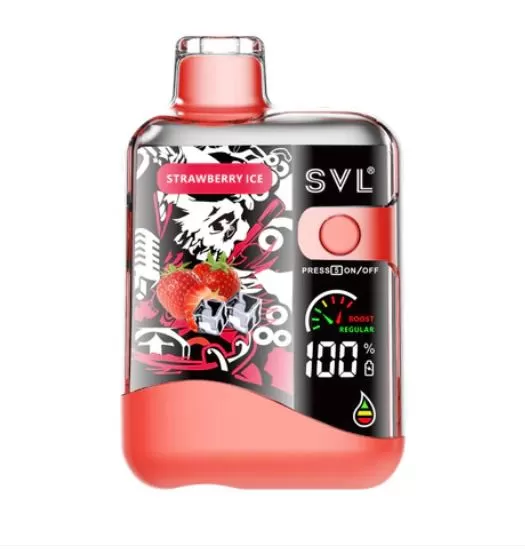 SVL BX12000 Disposable Vape (12,000 Puffs ) - Summer / 50 mg - Image 2