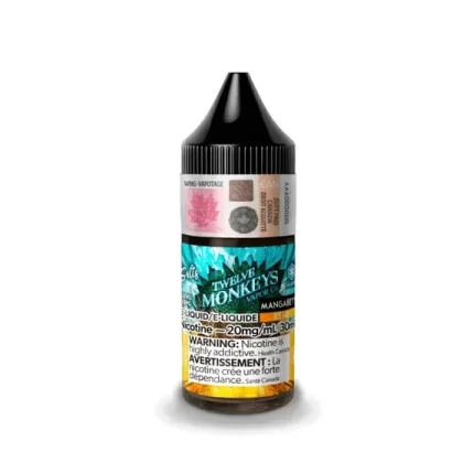 TWELVE MONKEYS SALT 20MG/ML-ICE AGE – Mangabeys Iced