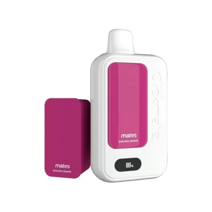 7 Daze Clickmate 15K Puff Disposable KIT (5% Nicotine) - 15,000 Puffs - Matcha Latte
