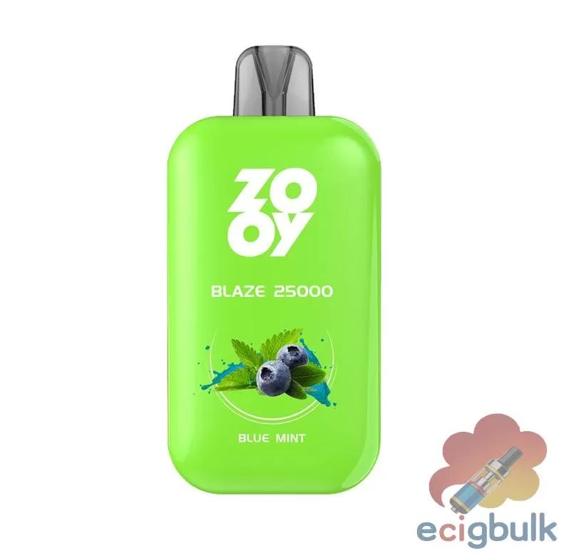 Zooy Blaze 25000 Disposable Vape: 25K Puffs, Full Screen & Flavor Variety