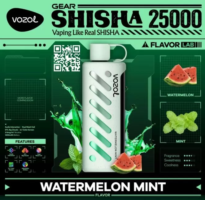 Vozol Gear Shisha DTL DISPOSABLE POD (25,00 PUFFS) - 5 mg / Blueberry Ice - Image 2