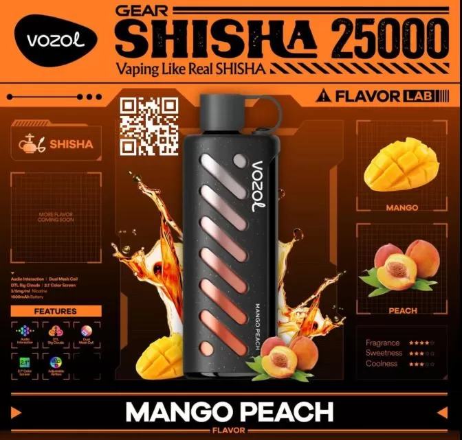 Vozol Gear Shisha DTL DISPOSABLE POD (25,00 PUFFS) - 5 mg / Blueberry Ice - Image 3