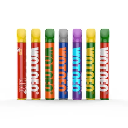Wotofo Mini + Disposable Vape 800 Puffs