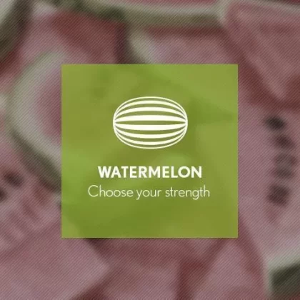 Watermelon By Blast E-Liquid 10ml - 12mg
