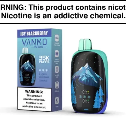VANMO VM35K DISPOSABLE VAPE – 35,000 PUFFS - Icy Blackberry, Strawberry Coconut